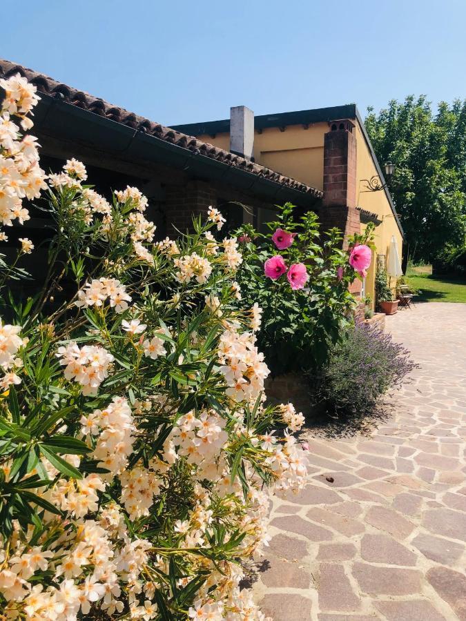 Vila La Casa Nei Campi Badia Pavese Exteriér fotografie